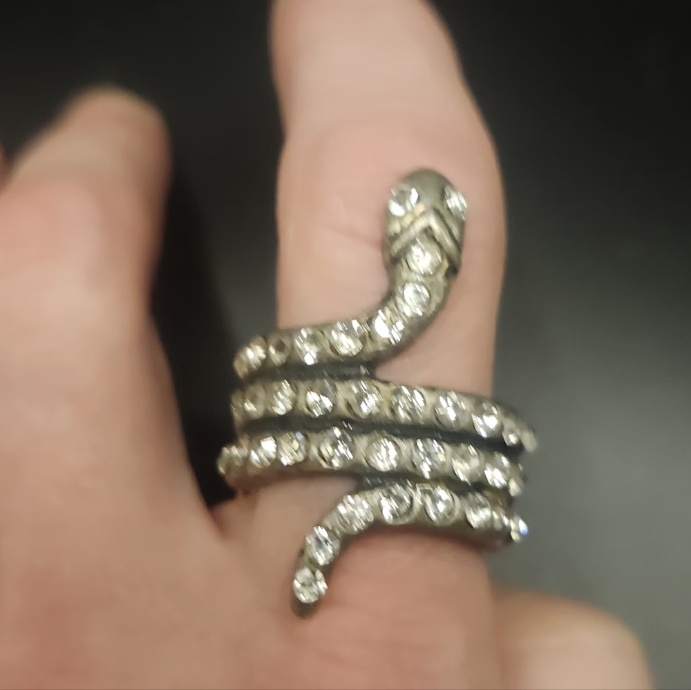 Elegant Silver Snake Ring for Reptile Enthusiasts
